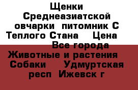 Щенки Среднеазиатской овчарки (питомник С Теплого Стана) › Цена ­ 20 000 - Все города Животные и растения » Собаки   . Удмуртская респ.,Ижевск г.